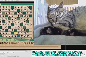 19時50分 ごろ