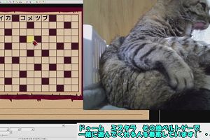 20時00分 ごろ