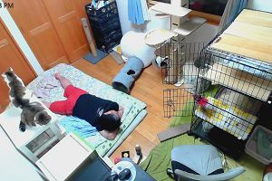 22時00分 ごろ