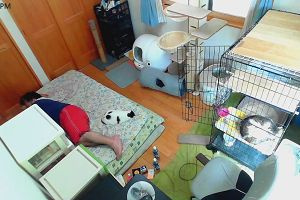 14時00分 ごろ