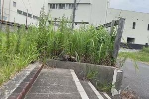 10時20分 ごろ