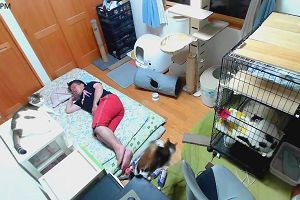 20時00分 ごろ