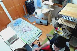 20時25分 ごろ