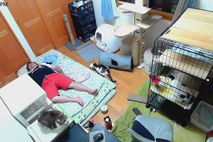 20時40分 ごろ