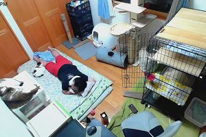 21時50分 ごろ
