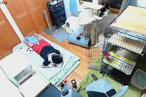 23時10分 ごろ