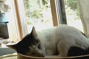 14時25分 ごろ