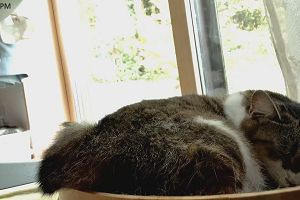 16時35分 ごろ