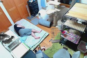 21時40分 ごろ