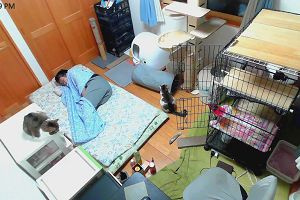 22時55分 ごろ