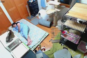 00時00分 ごろ