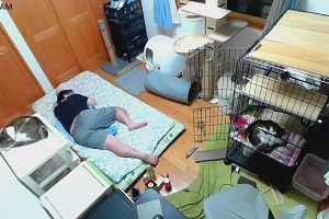 02時05分 ごろ