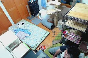22時40分 ごろ