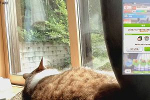 10時05分 ごろ