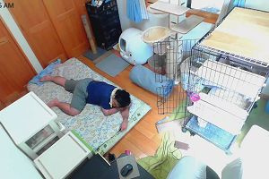 10時45分 ごろ