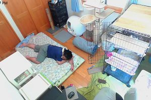 12時15分 ごろ