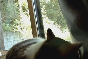 14時45分 ごろ