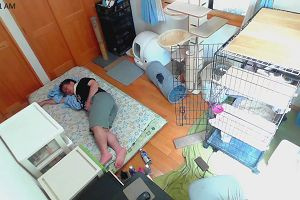 11時15分 ごろ
