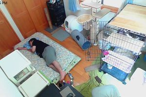 12時30分 ごろ