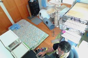 14時05分 ごろ