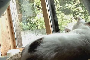 15時35分 ごろ
