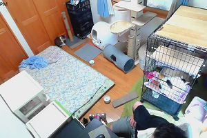 18時00分 ごろ