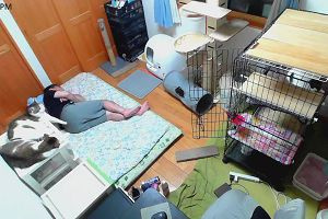 21時55分 ごろ