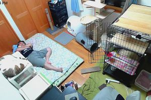 22時40分 ごろ