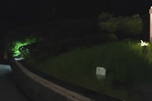 23時30分 ごろ