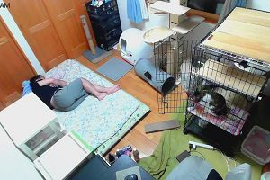 02時25分 ごろ
