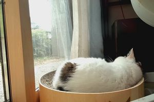 13時30分 ごろ