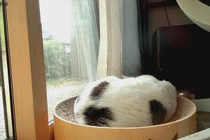13時45分 ごろ