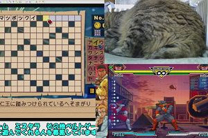 22時10分 ごろ