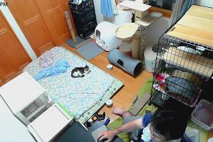 18時45分 ごろ