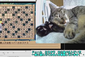 19時45分 ごろ