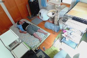 10時05分 ごろ