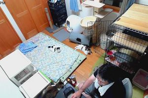 21時50分 ごろ