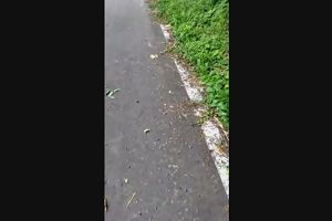 15時40分 ごろ