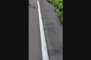 15時50分 ごろ