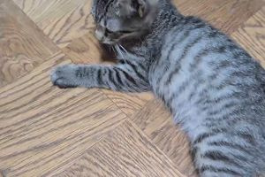 20時40分 ごろ