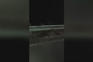 02時25分 ごろ