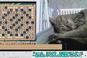 16時40分 ごろ
