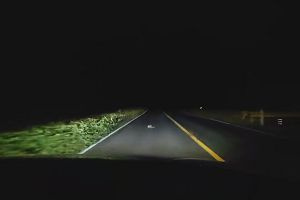 23時55分 ごろ