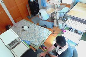 10時00分 ごろ