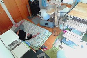 10時25分 ごろ