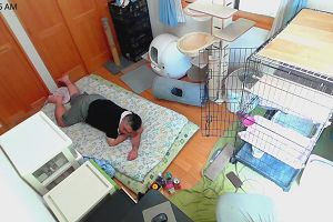 11時40分 ごろ