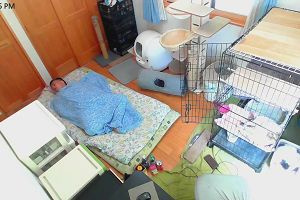 12時55分 ごろ