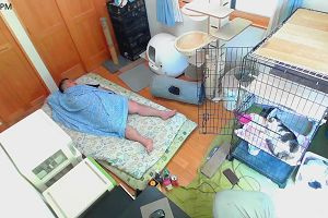 13時45分 ごろ
