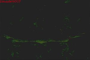 01時00分 ごろ