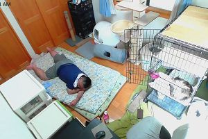 10時25分 ごろ